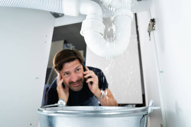 Best Local Plumber Services  in Potosi, TX